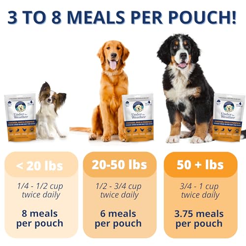 Under the Weather Pet Food in 6 Ounce (Pack of 1)
