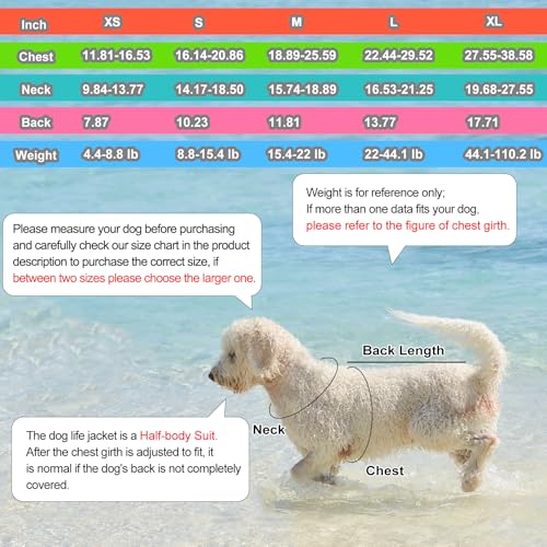 Doglay Pet Apparel in X-small, Blue+Aquagreen