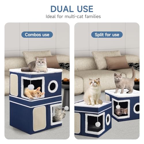 Shikha Animal Shelter in Double, Blue