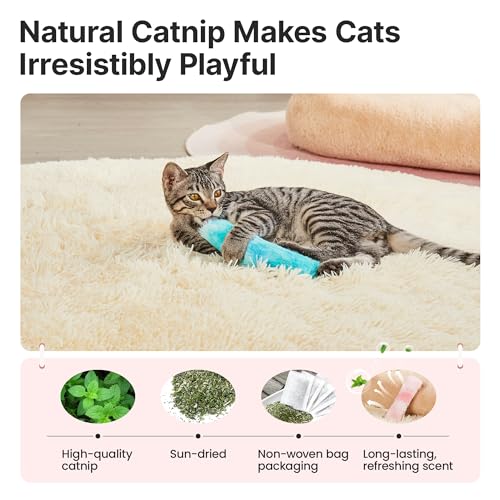 Potaroma Pet Toy in Pastel Colors