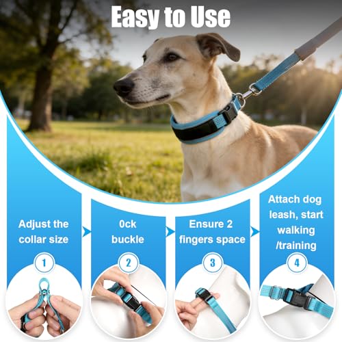 NozlaID Animal Collar in M(15"-19.5"), Blue