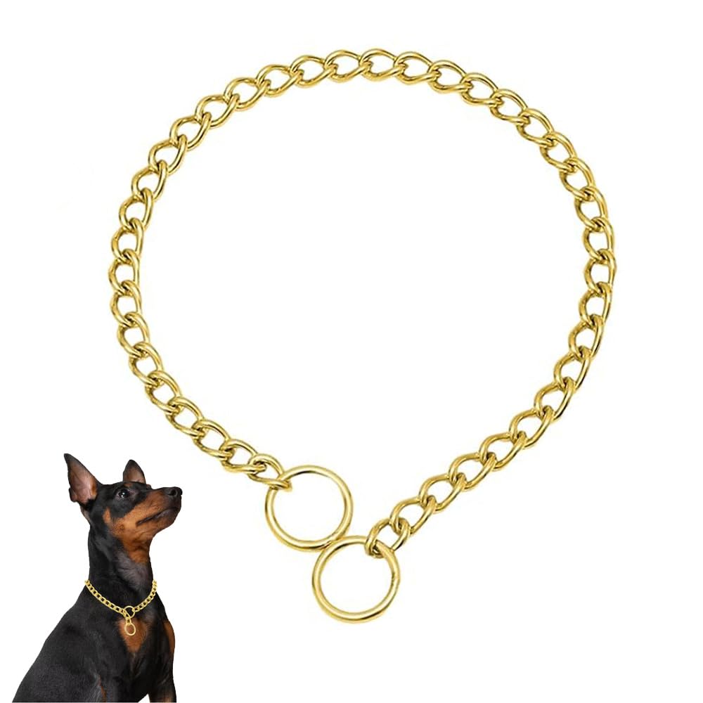 Weimostar Animal Collar in XS(Neck Max 12inch)D2.0mm, Gold