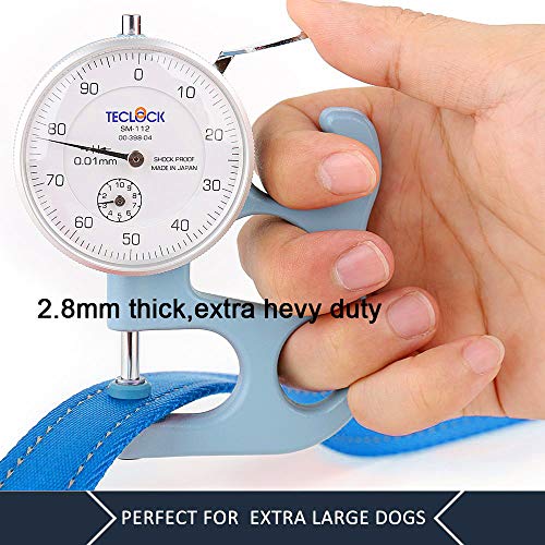 PLUTUS PET Leash in 5 FT, Blue