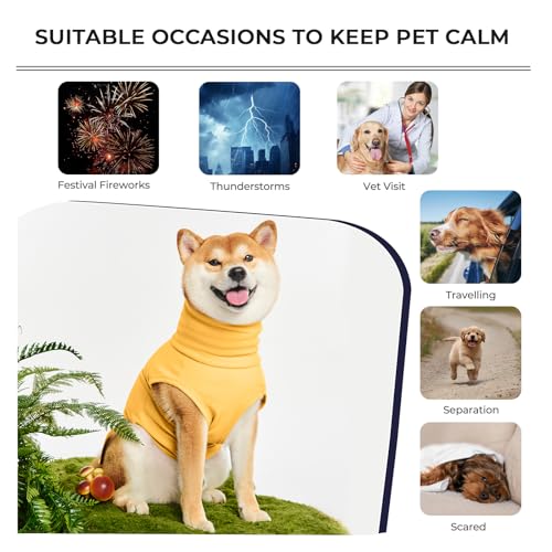 Haloumoning Pet Apparel in X-Small, Orange