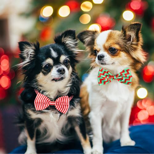 Segarty Pet Apparel in Adjustable, fits neck sizes 7.9''-17.9'', 30pcs-Happy Time