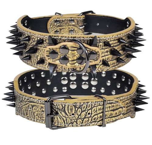Kawagogo Animal Collar in Width:2'' Adjust:17''-20'', Gold