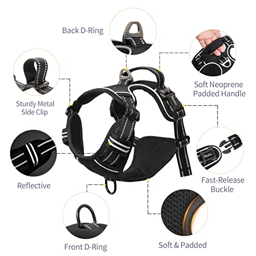 HEELE Animal Harness in S, Black