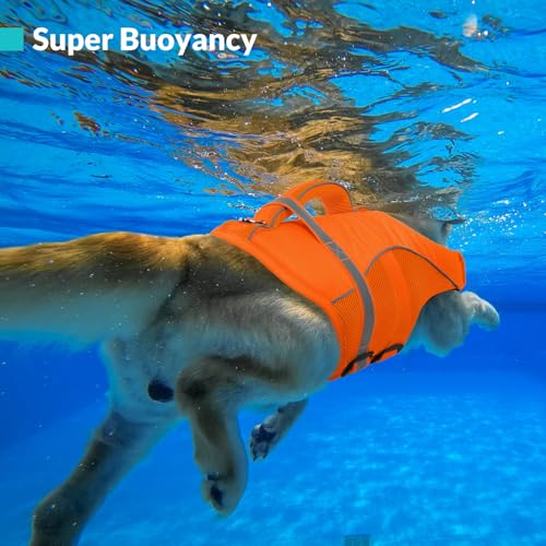 Queenmore Pet Apparel in X-Small, Orange