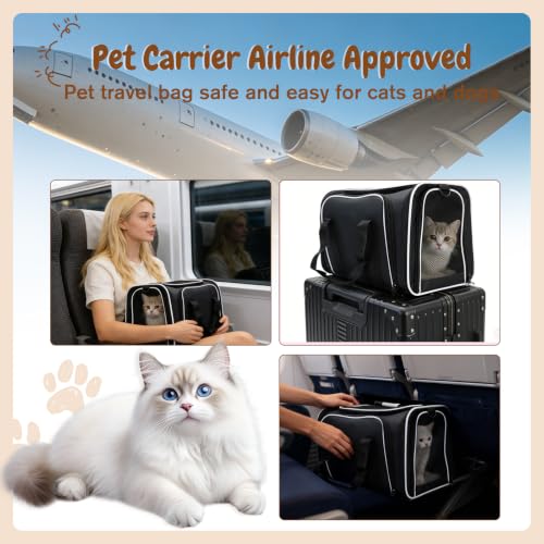 Srinlon ㅤ Animal Carrier in 18.0"L x 11.0"W x 11.0"H, Black