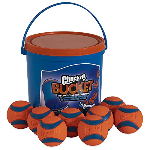 Chuckit! Pet Toy in Medium, Ultra