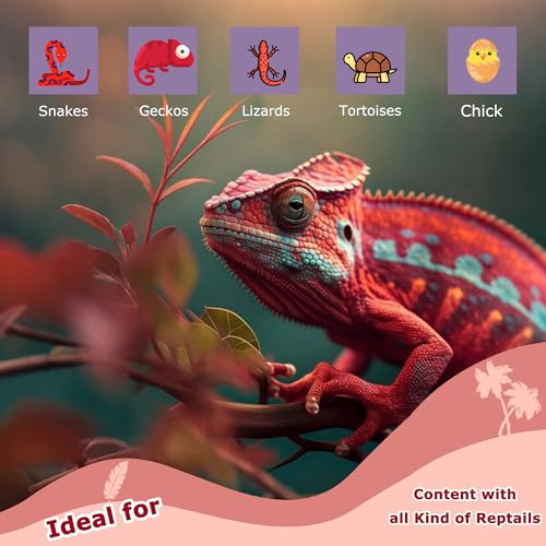 HARTOMPET Light Bulb in 60W - 2.5", Red