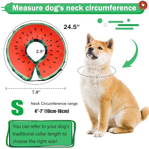 Cneo Animal Recovery Collar Cone in S（neck 4"-7"）, Watermelon