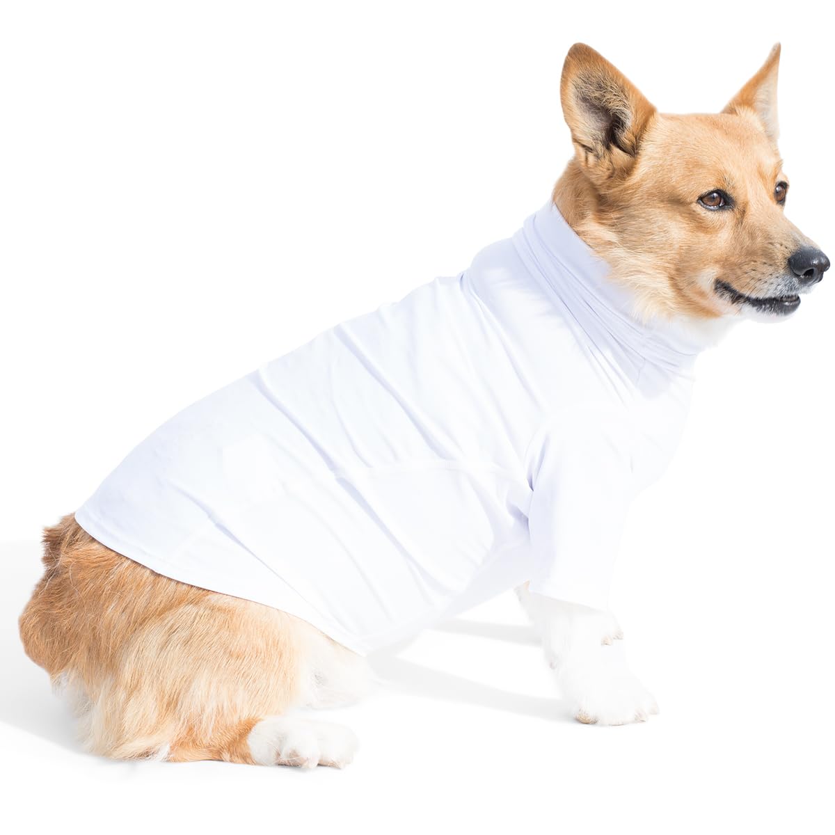 PlayaPup Pet Apparel in X-Small, True White