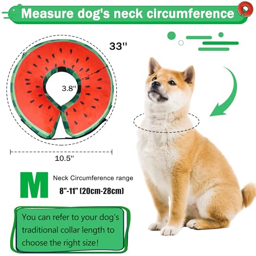 Cneo Animal Recovery Collar Cone in M（neck 8"-11"）, Watermelon