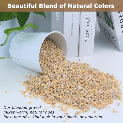 Mulctun Raw Materials in 5 lbs, Yellow