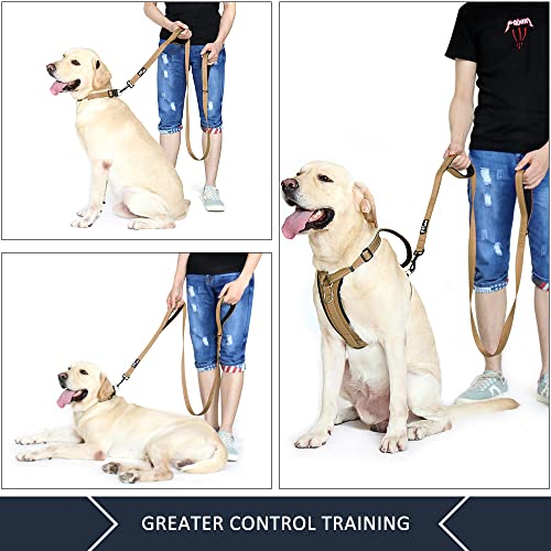 PLUTUS PET Leash in 4 FT, Brown