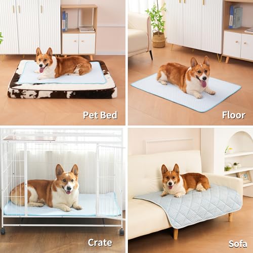 Petvolve Pet Bed Mat in X-Large - 44 x 32 Inch, Sky Blue