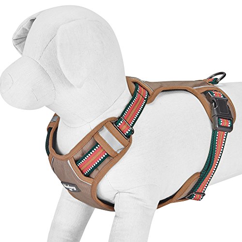 Blueberry Pet Animal Harness in Small, Dark Green&Pink