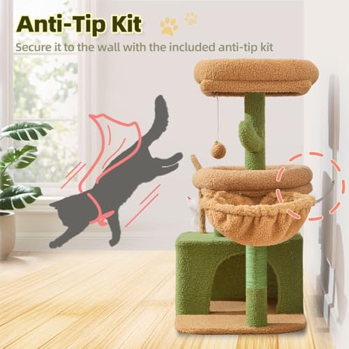 Taoqimiao Pet Activity Structure in L, Cactus