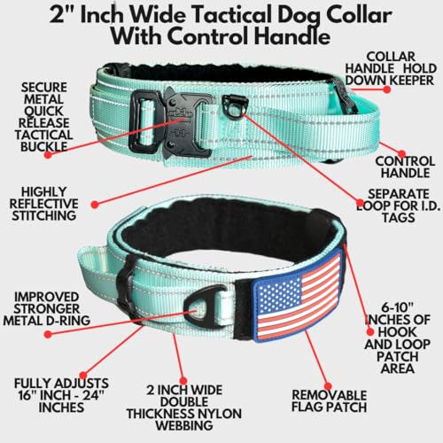 DEZIZEUSK9 Animal Collar in 16-25 INCH, MINTGREEN-COBVEL2