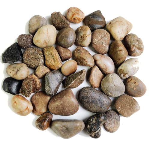 HappyFiller Outdoor Living in 2-4 cm, Mixed