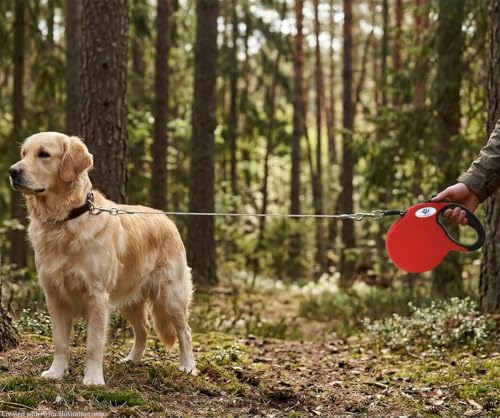 CROWN PAWS Leash in Large, Red