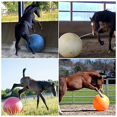 SWYIVY Recreation Ball in 40 Inch, Blue