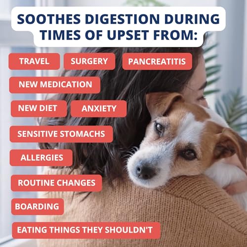 Under the Weather Pet Food in 6 Ounce (Pack of 1)