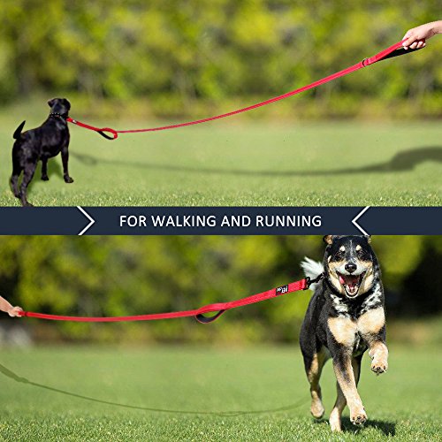 PLUTUS PET Leash in 4 FT, Red
