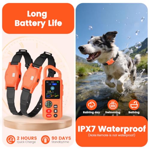 Pawton Animal Collar in Medium, Large, Orange for 2 Dogs