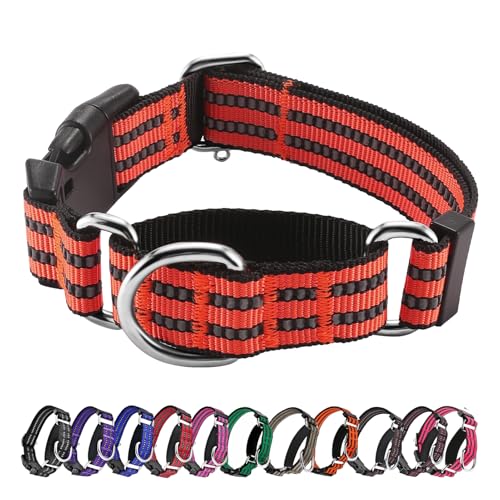 Hikiko Animal Collar in Small, Tangerine
