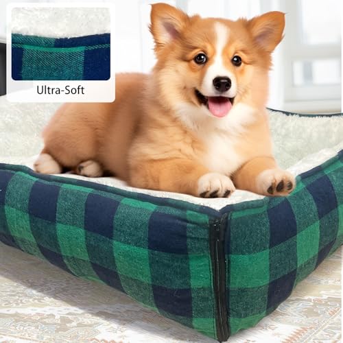 LIFFY Pet Bed Mat in Blue-green