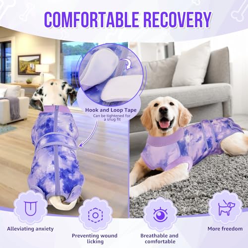 SlowTon Pet Apparel in X-Small, 2.Purple - 100% Polyester