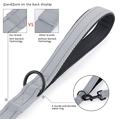 PLUTUS PET Leash in 4 FT, Gray