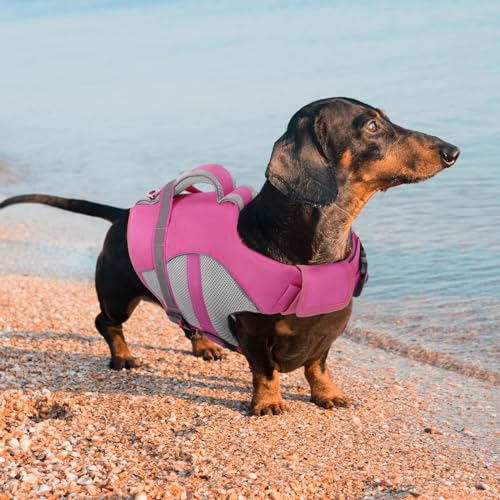 Queenmore Pet Apparel in X-Small, Pink
