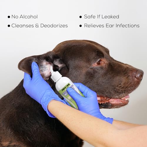 Zenpaws Pet Supplies