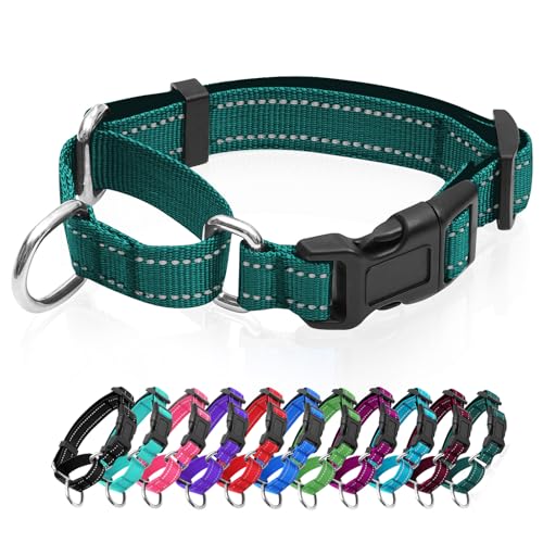 GDLKPS Animal Collar in XS:3/4" Wide for 11.5"-13.5" Neck, Blackish Green