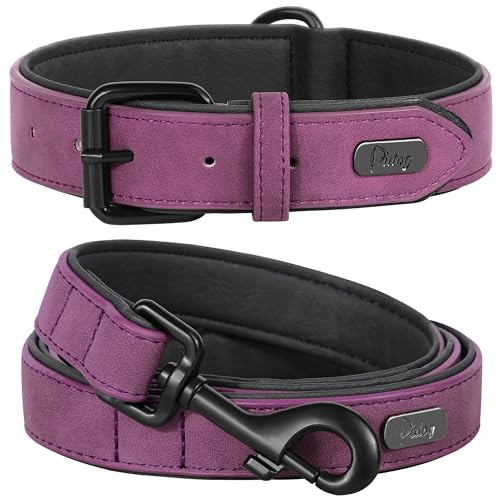 Didog Animal Collar in M: Fit Neck 11-14"(10-20 lbs), Purple Set