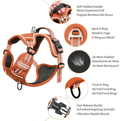 HEELE Animal Harness in S, Pumpkin Orange
