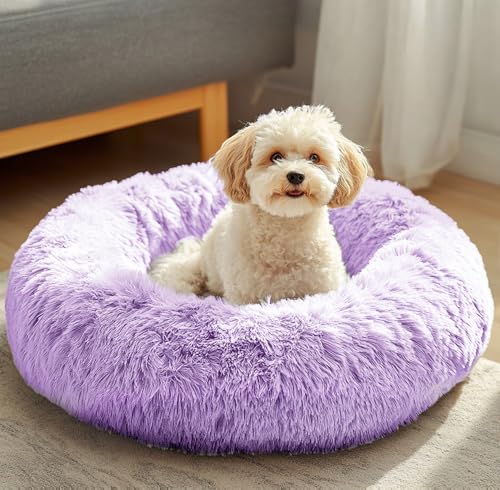 JOLLYVOGUE Pet Bed Mat in 20", Purple