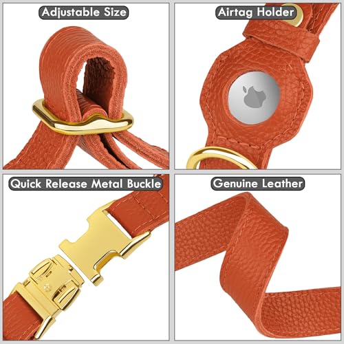 BUDKAS Animal Collar in XS, 9"-12" Neck Fit, Orange