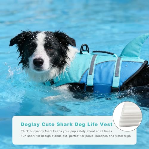 Doglay Pet Apparel in Small, Turquoise & Blue