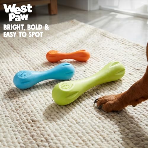 WEST PAW Pet Toy in Large, Aqua