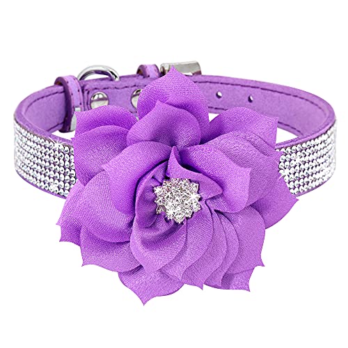 PET ARTIST Animal Collar in XS:Neck 7.5-10"(3-7 lbs), Purple