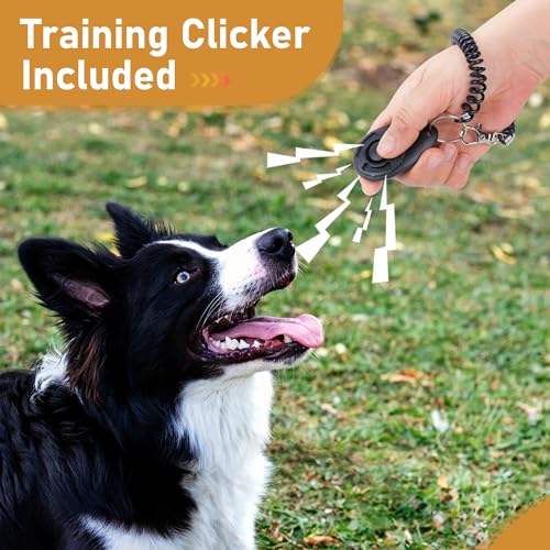 PrimePets Leash in 20 Ft, Black