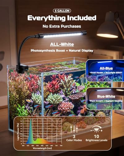 minilake Vivarium in 5 Gallon, Transparent