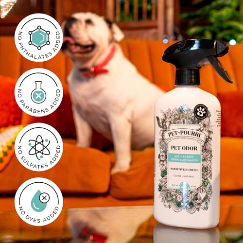 Poo-Pourri Area Deodorizer in 16 Fl Oz (Pack of 1), Fresh