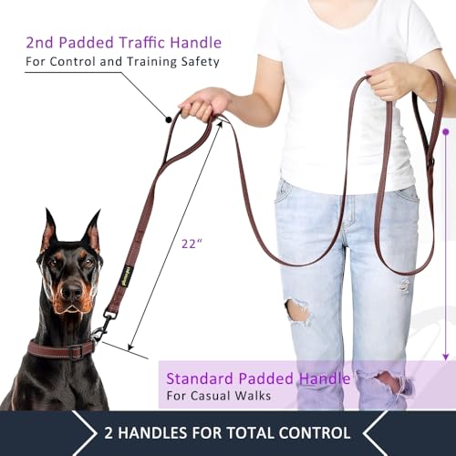 PLUTUS PET Leash in 4 FT, Chocolate