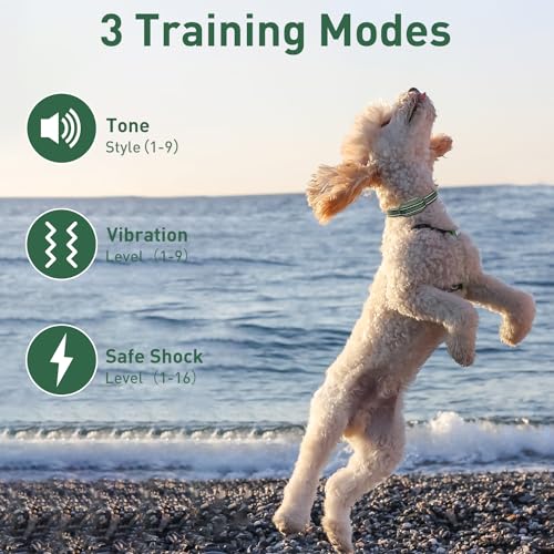 DOGLinsen Animal Collar in Adjustable, Green