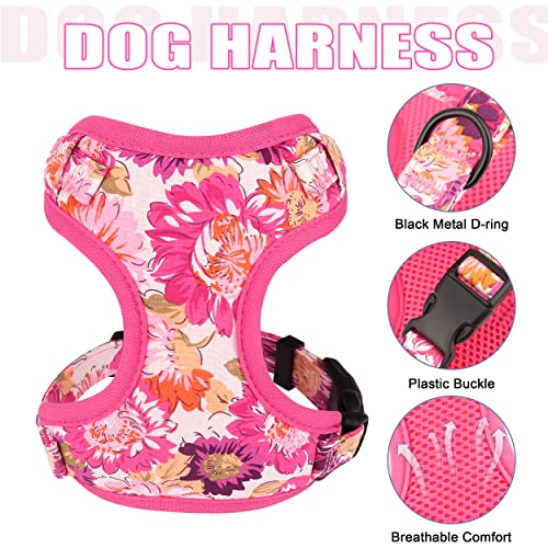 Beirui Animal Harness in XXS:Fit 2-6 lbs, Pink-2